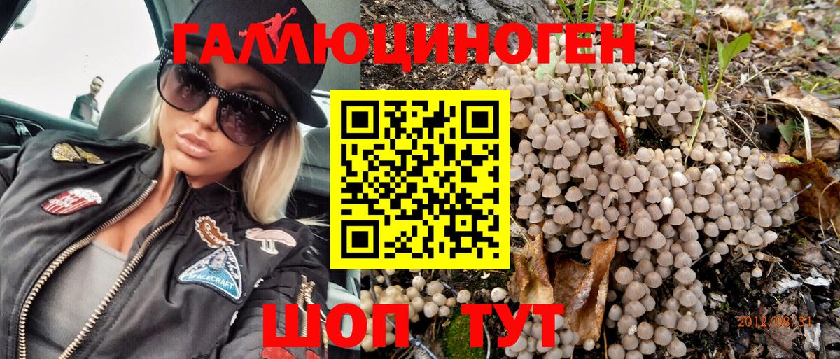 цены   Вход с VPN  Псилоцибиновые грибы Psilocybe  Выкса  Галлюциногенные грибы прущие грибы 