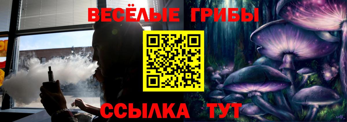 Псилоцибиновые грибы GOLDEN TEACHER Выкса